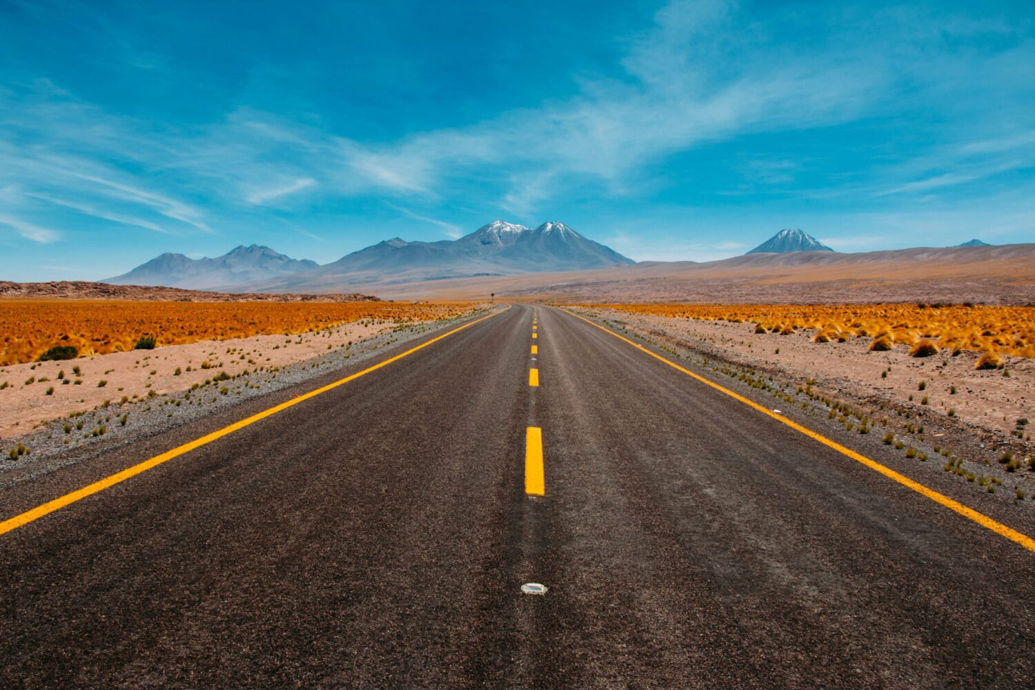 The Road Ahead for Electric Vehicles