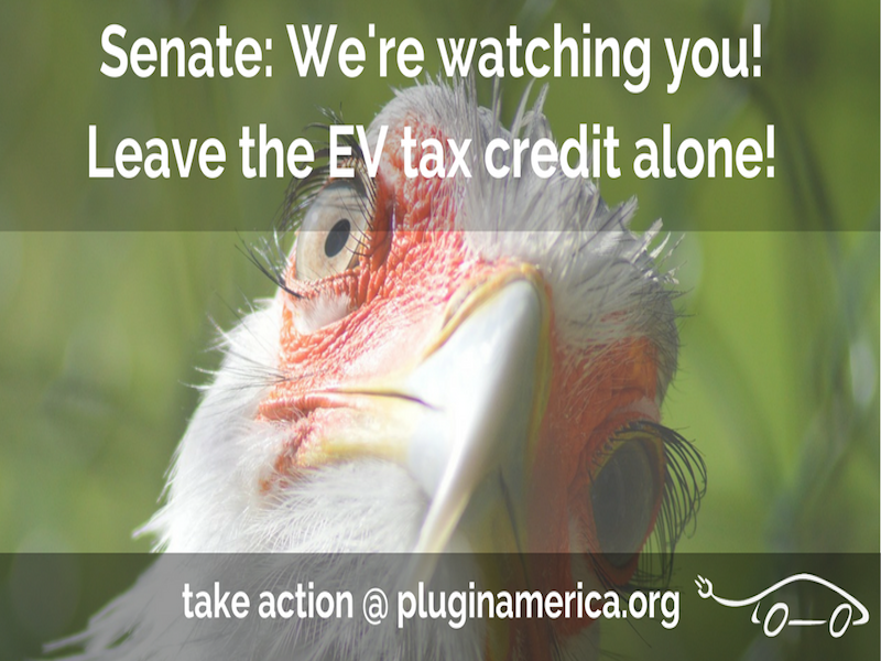 EV Drivers Are Watching the U.S. Senate